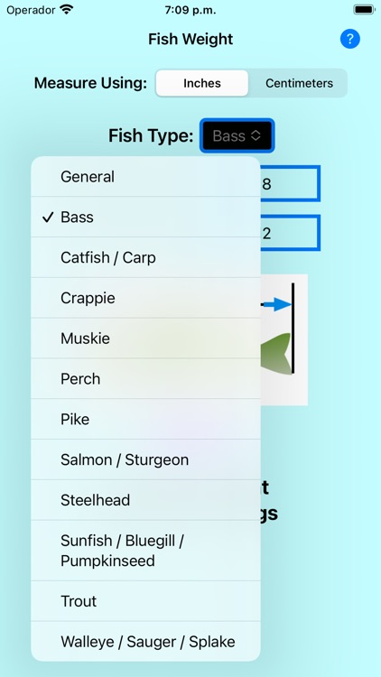 Fish Weight Estimate