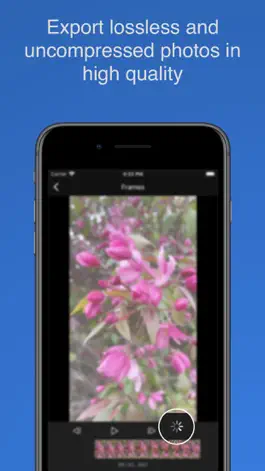 Game screenshot Grab Frame - Video to Photo hack