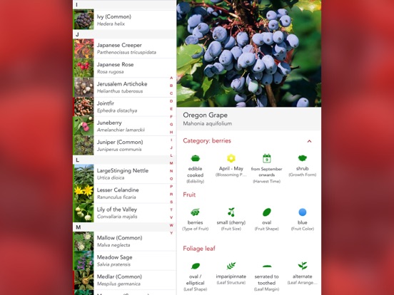 Wild Berries and Herbs LITE iPad app afbeelding 3