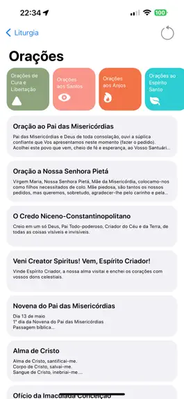 Game screenshot Liturgia apk