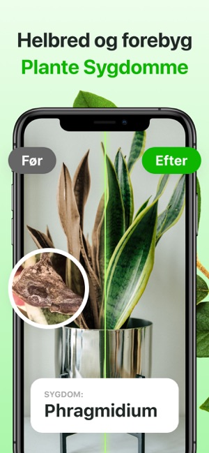 Planter og blomster i App Store