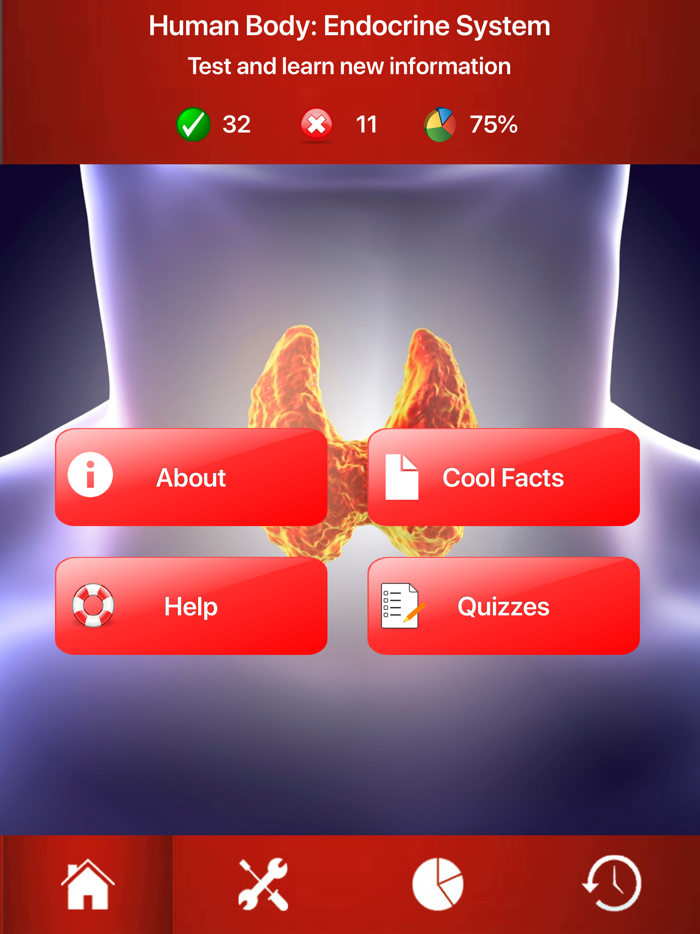 Endocrine System Trivia