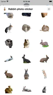 rabbit photo sticker iphone screenshot 2