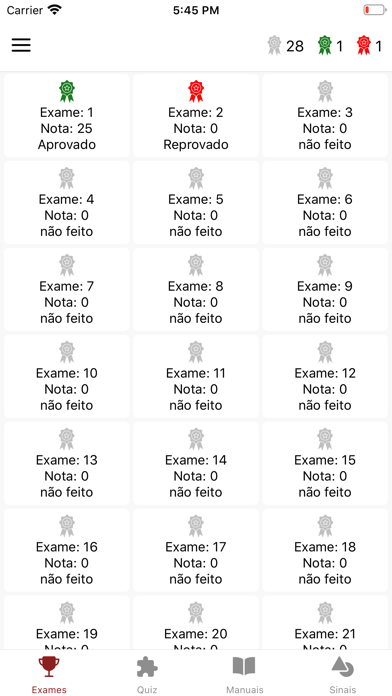 Código e Sinais de Trânsito Screenshot