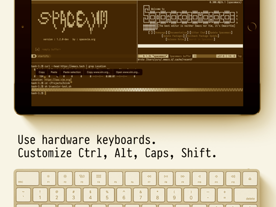 Screenshot #6 pour Blink Shell 14: Legacy