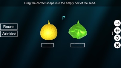 Screenshot #2 pour Dihybrid cross