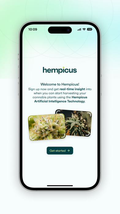 Hempicus Screenshot