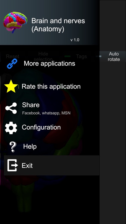 Brain and nerves (Anatomy) screenshot-5