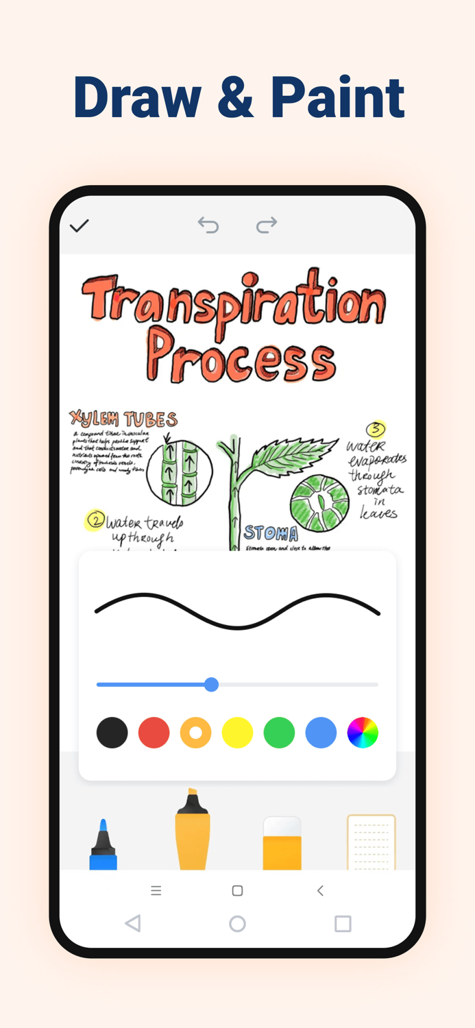 Tidy Notes - Color Notebook