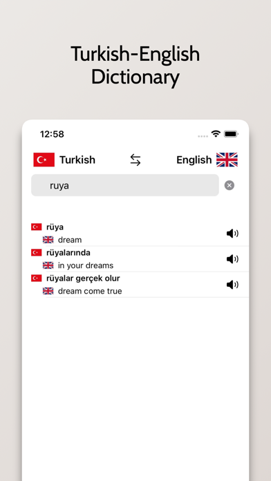 Turkish/English Dictionary Screenshot
