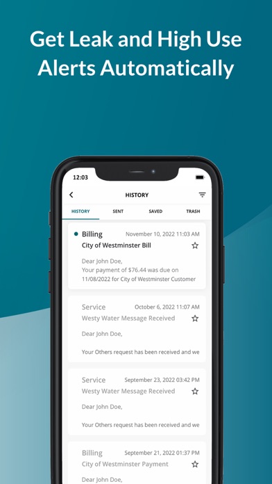 Westy Water Screenshot