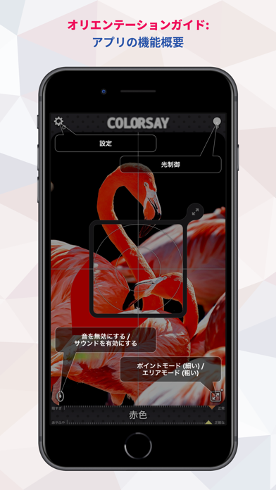 ColorSay • カラースキャナーのおすすめ画像4