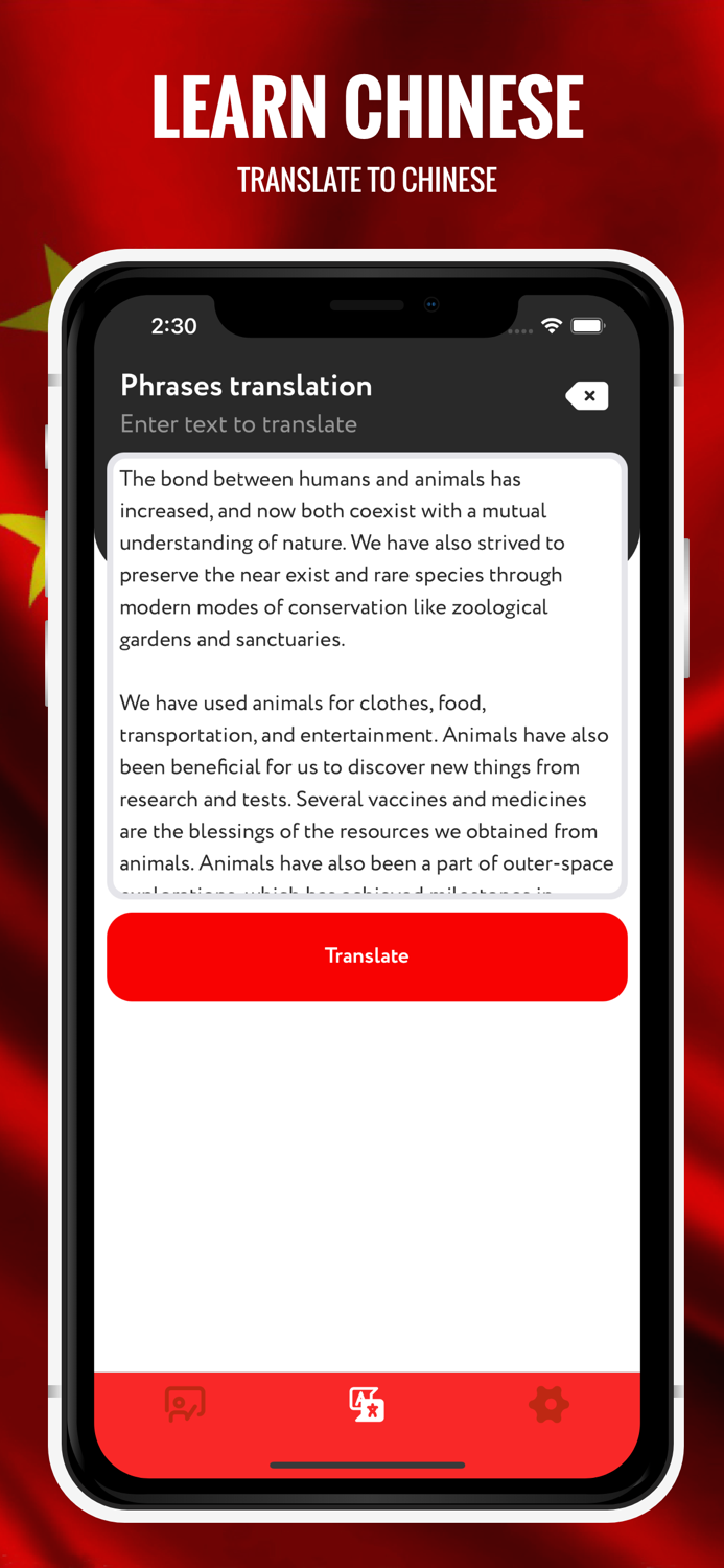 Chinese Visual Vocabulary