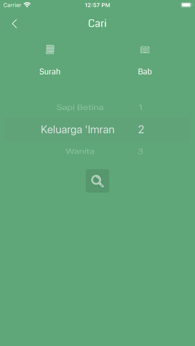 Indonesian Quran Screenshot