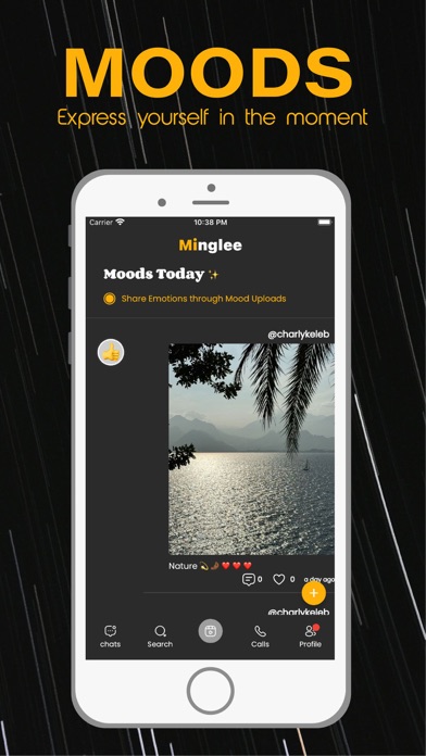 Minglee Screenshot