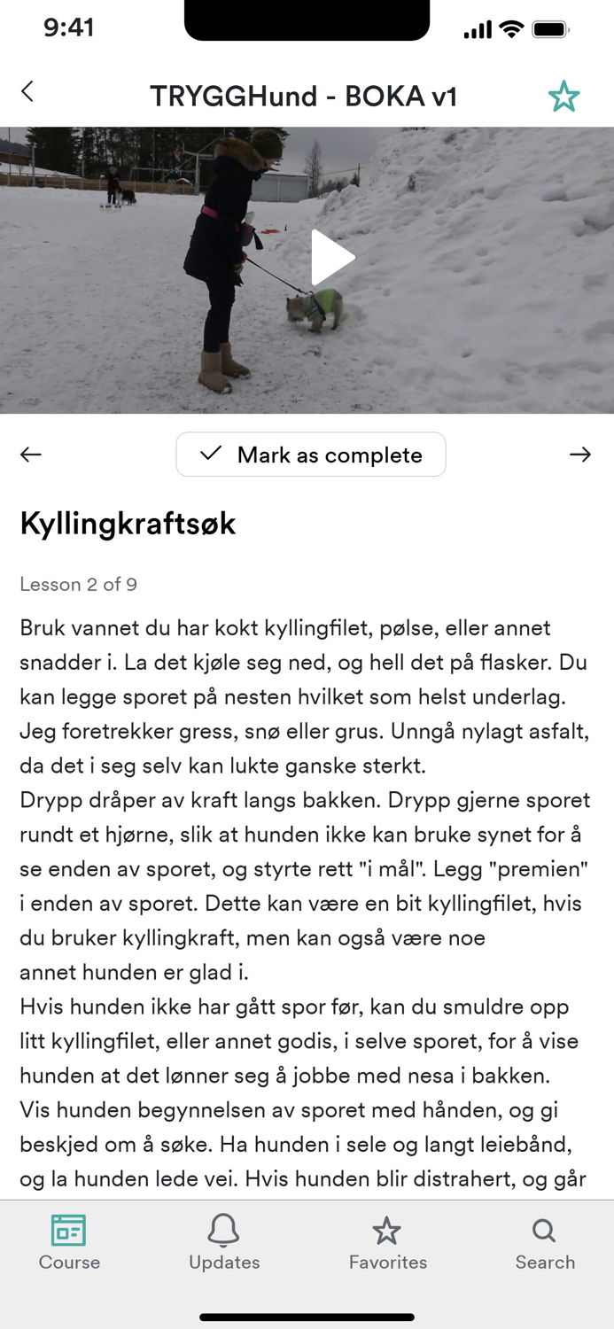 Hundetrener Carina Josefine