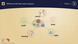 foundations memory work c3 problems & solutions and troubleshooting guide - 3