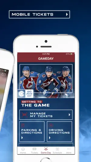 Colorado Avalanche screenshot 2