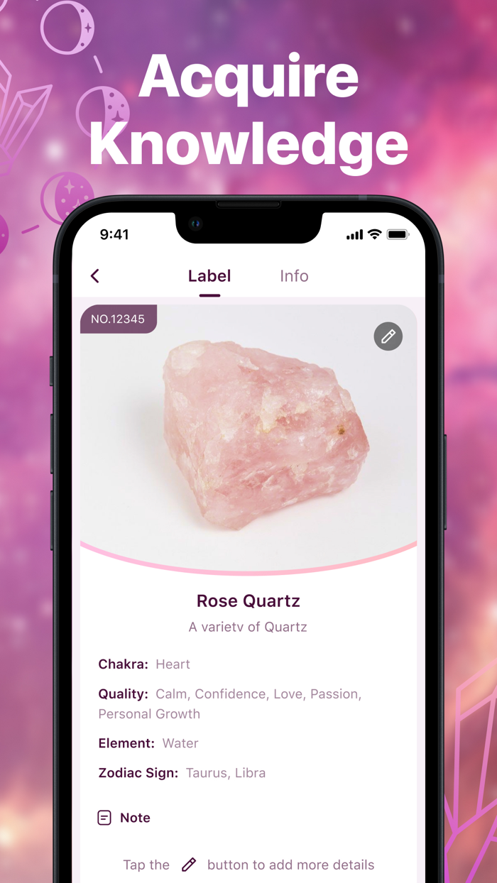 Healing PalCrystal Identifier