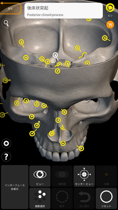 骨格 - 解剖学3D アトラスのおすすめ画像5
