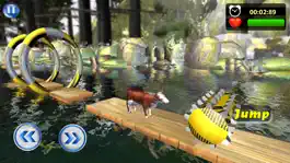 Game screenshot Animal Water Run-Safari Splash hack