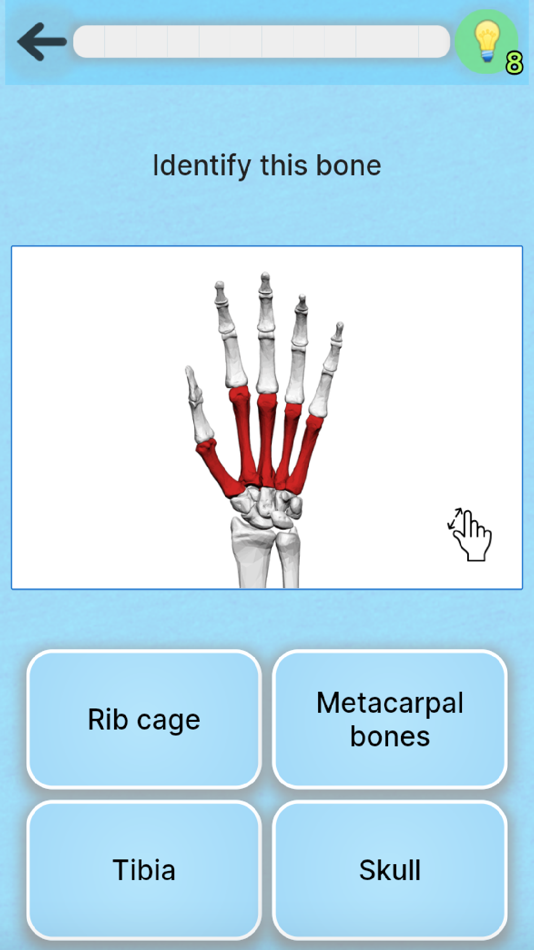 #2. Anatomy Game (iOS) 由: Horea Bucerzan