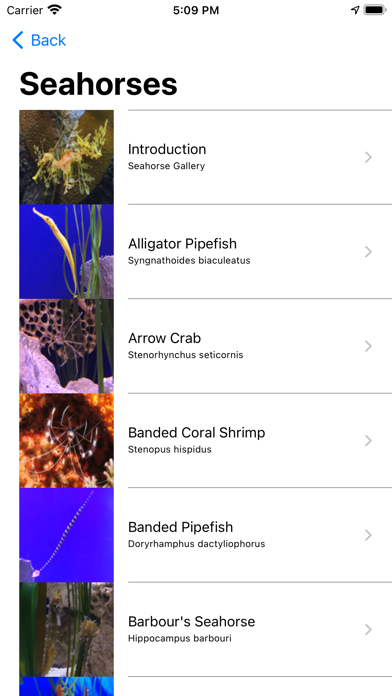 Florida Aquarium Guide Screenshot