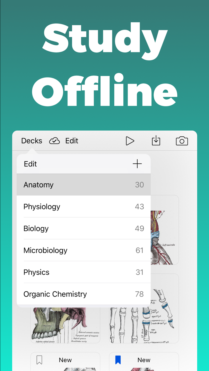 Anatomy and Physiology GO