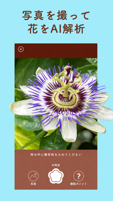 花の手帖 - プランティー はな・植物の名前を図鑑で検索のおすすめ画像3
