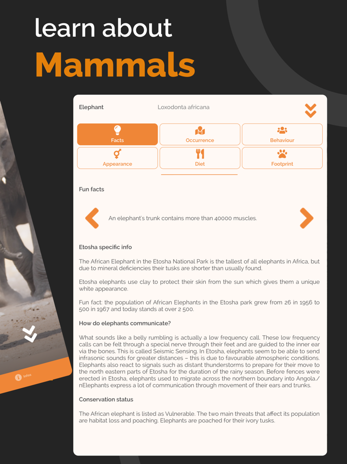 Etosha App - Namibia