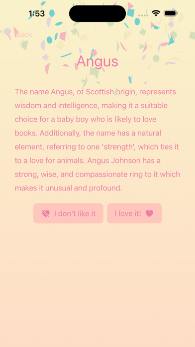 My Perfect Baby Name Screenshot