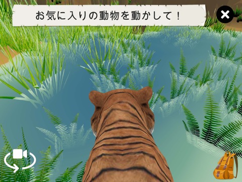 4D Kid Explorer: 野生動物（完全バージョン）のおすすめ画像7