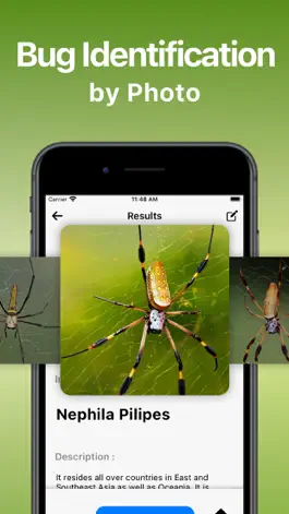 Game screenshot Bird Song Identifier Sounds ID hack