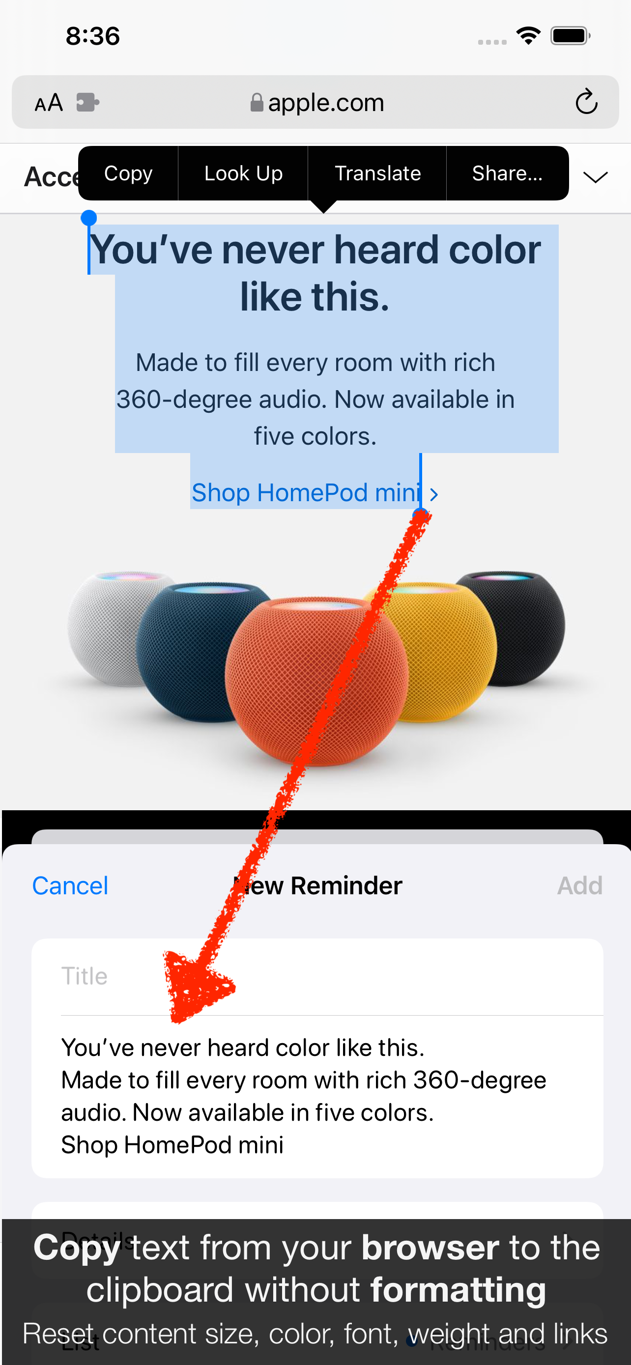 Plain Copy for Safari