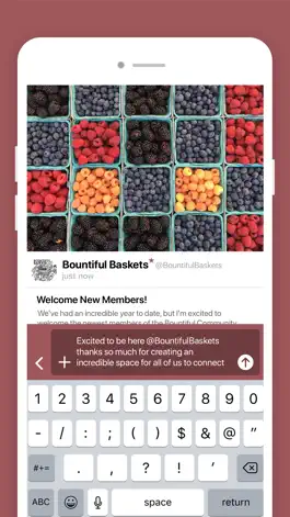 Game screenshot Bountiful Baskets apk