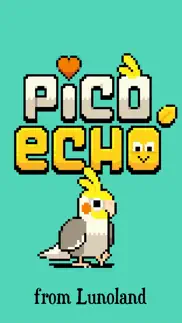How to cancel & delete pico echo 1