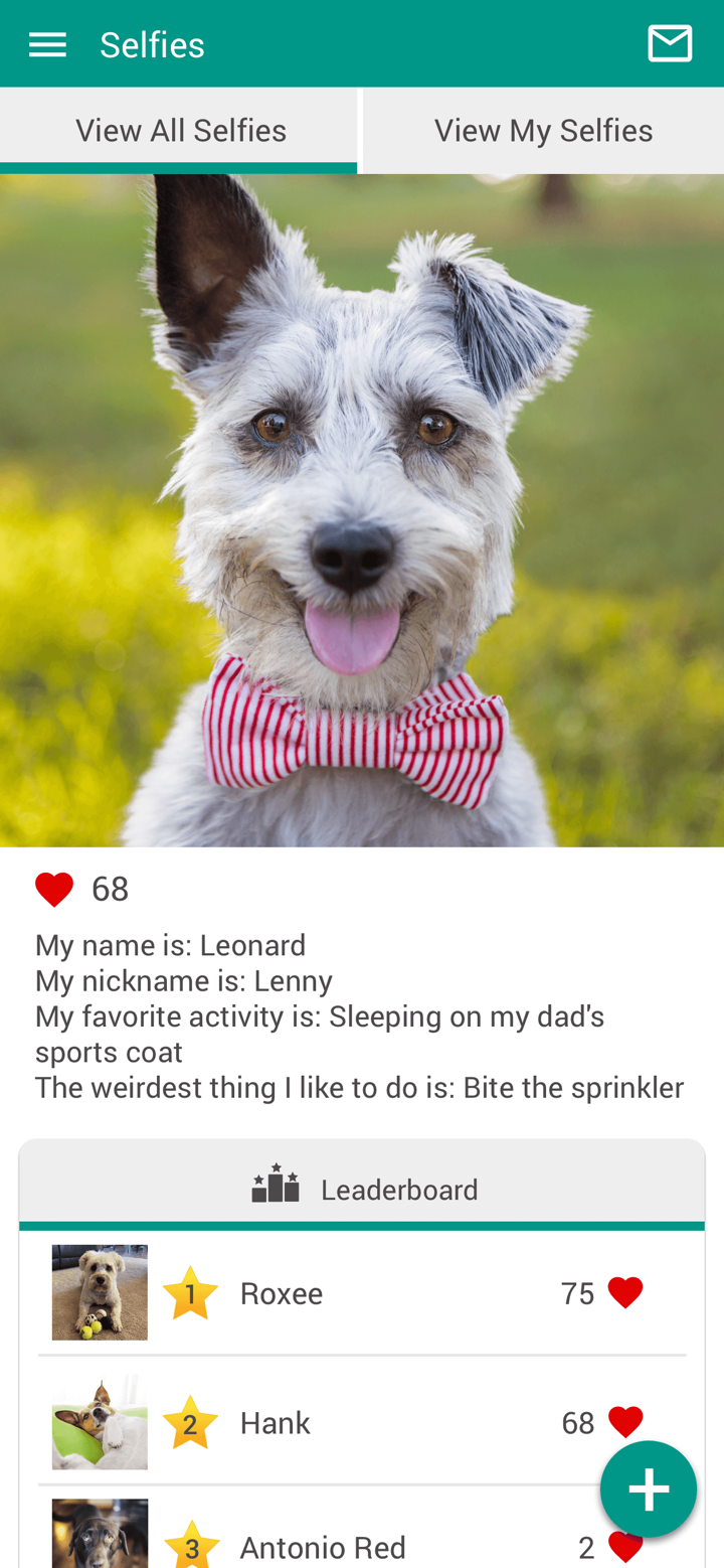 Deer Grove Vet Clinic screenshot 4