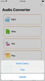 audio converter - export mp3 iphone screenshot 1