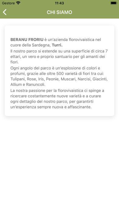 Beranu Froriu Screenshot