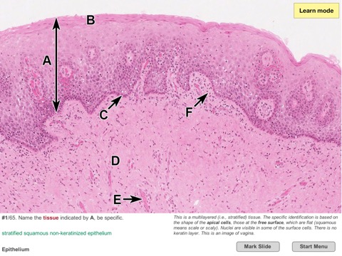 Histo!のおすすめ画像5