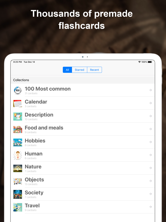 Portuguese Flashcards Voice