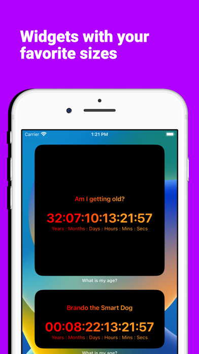 Age Countdown Widgets Screenshot