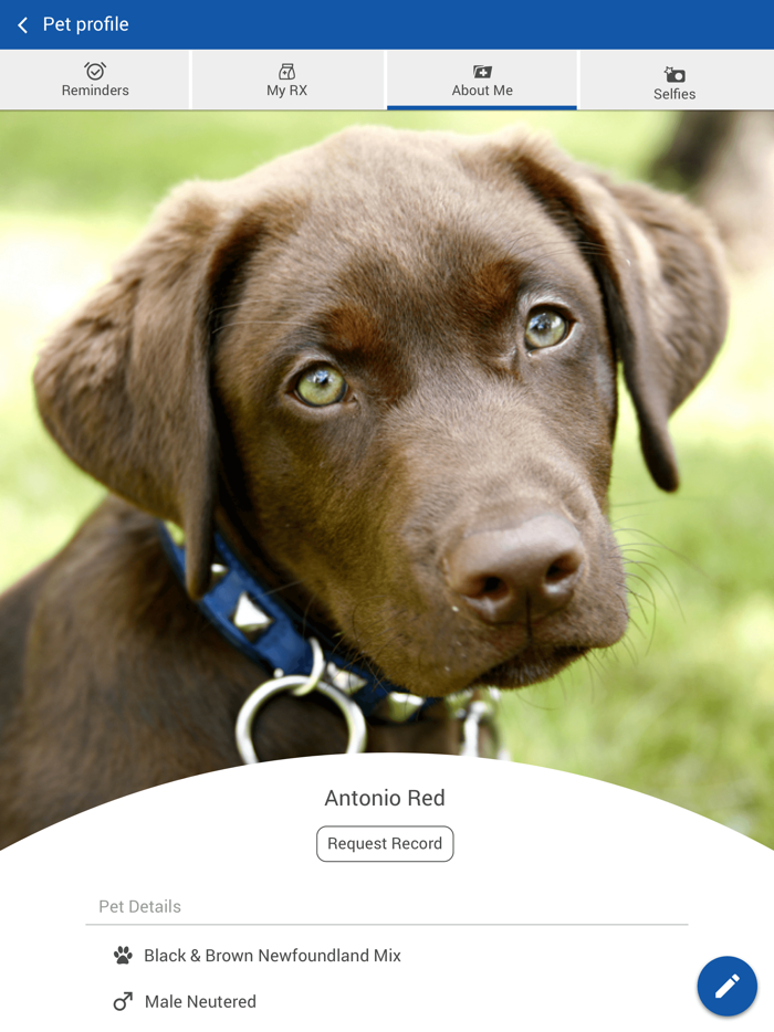 Parkwood Animal Hospital