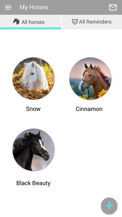 Equine Medicine and Surgery Screenshot