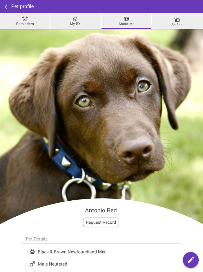 Glen Lake Animal Hospital