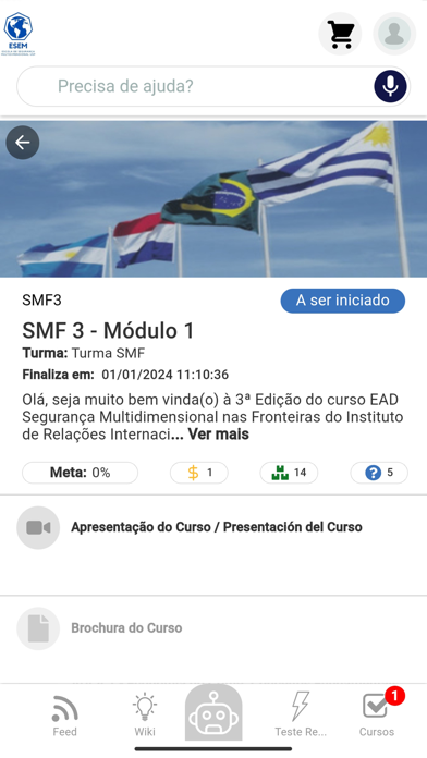 ESEM USP Screenshot