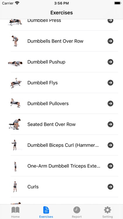 Dumbbell Home Workout Plan