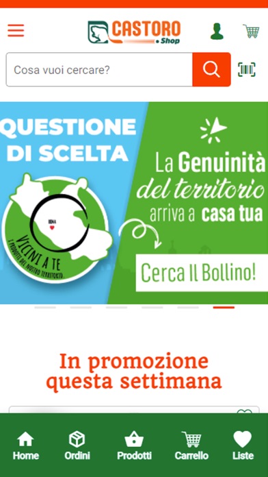 Castoro Online Screenshot