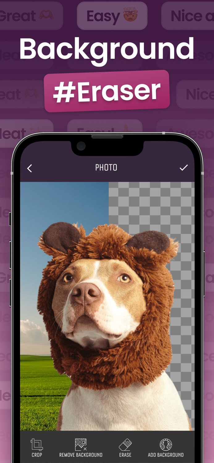 Background Erase Photo Eraser