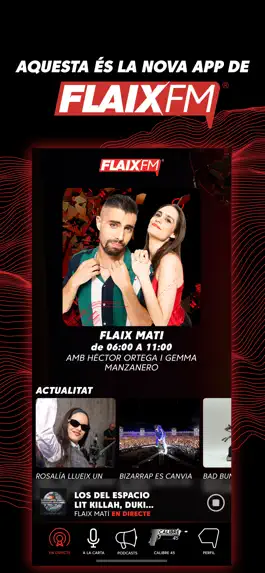 Game screenshot FlaixFM mod apk